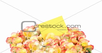 Bunch Of Flowers With Greeting Card
