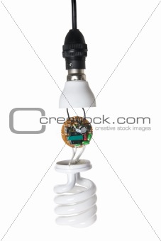 Compact Fluorescent Bulb 