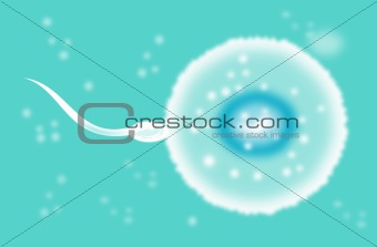 sperm cell fertilizing egg