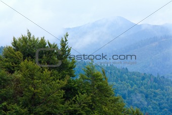 Cloudy morning in mountain