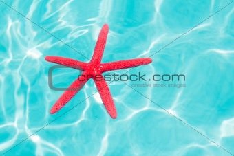 Red starfish floating on perfect tropical sea