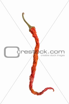 hot chilli fishing hook