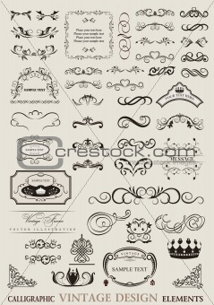 calligraphic design ornaments