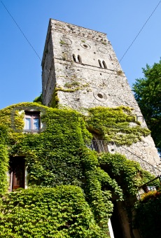 Castle covered by ivy