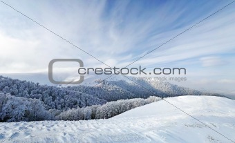 Frozen forest and meadows in Carpathians panorama