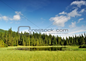 Mysterious Marichaika lake in the forest