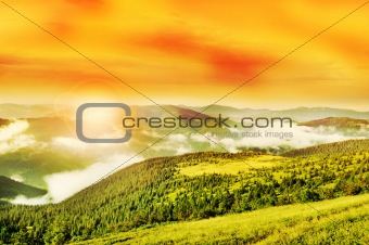 Flaring sun, golden sky and cloudy Carpathian Mountains
