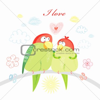fun loving parrots