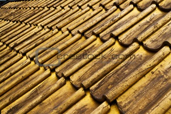 Golden roof tiles
