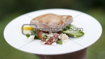 Grilled marinated Ahi tuna salad with crab, baby spinach, dressi