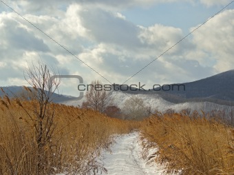 Field road in the winter afternoon