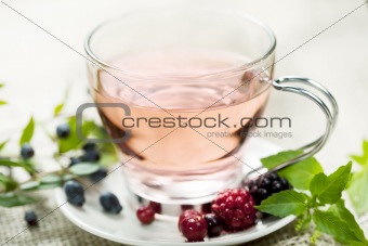 forest berry tea