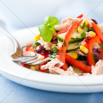 Mixed vegetable salad with tuna
