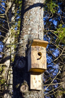 Newly nailed wooden bird nesting-box on tree.