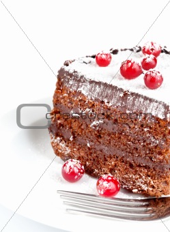 chocolate cake with berry