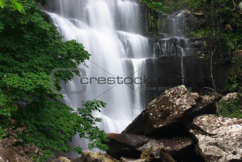 Beautiful waterfall and green maple.