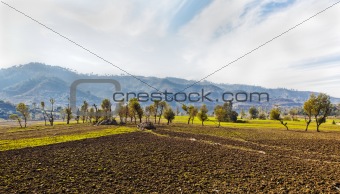 Himalayas Agriculture lines