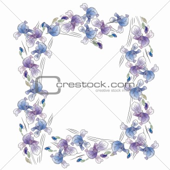 Frame with blue irises
