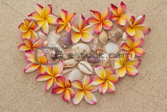 Frangipani, plumeria flower in shape of heart, filled with sea shells on sand