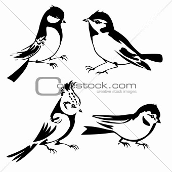 birds silhouette on white background, vector illustration