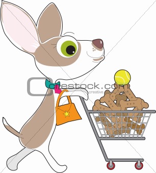 Chihuahua Shopping