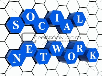 social network - blue hexahedrons in cellular structure