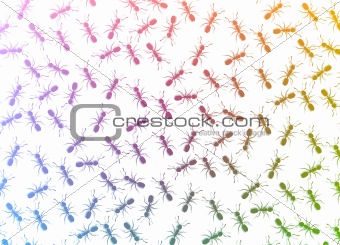 Ants background