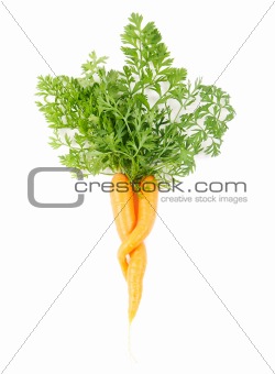 Pair of carrots