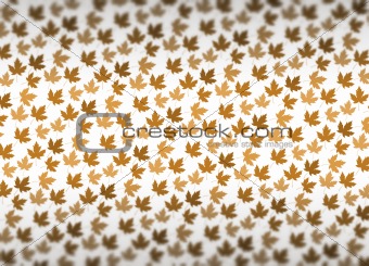Maple leaf background