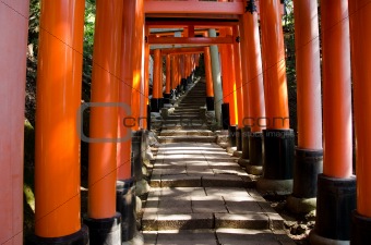 Torii gates at Inari shrine in Kyoto