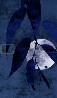 moon spider collage