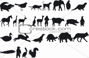 Animal Silouettes