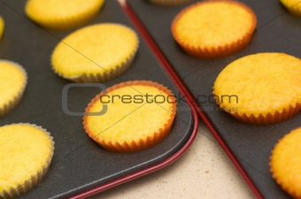 Freshly backed cupcakes on a backing tray. Shallow depth of field