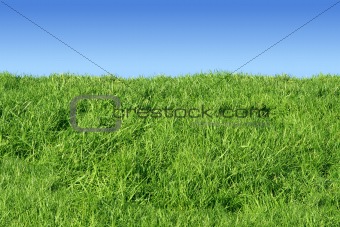 Green grass bank and a blue sky. 