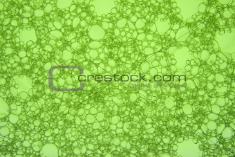 Macro close up of green soap bubbles.