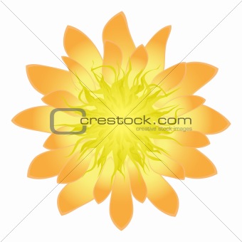 Beautiful flower for your design