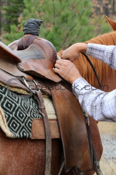 Adjusting saddle