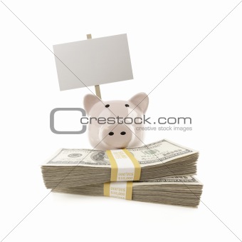 Pink Piggy Bank with Stacks of Hundreds of Dollars and Blank Sign Isolated on a White Background.
