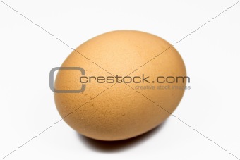 Single Egg