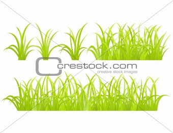 set of green grass element