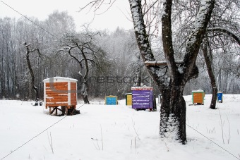 Hives cover snow colorful bee house winter tree 