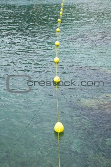 yellow buoys