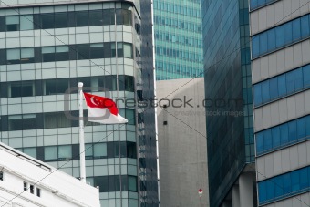 Flag of the Republic of Singapore