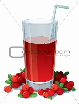 Glass of cranberry juice with a straw surrounded by cranberries