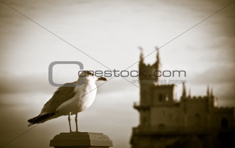 Seagull and Swallow's Nest, Crimea, Ukraine