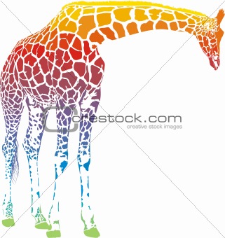 rainbow giraffe vector