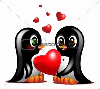 couple sweet penguins