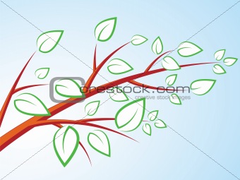 tree branch with leaves