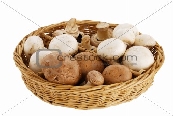 Mushroom mix in straw basket
