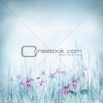 Spring floral background with violet flowers